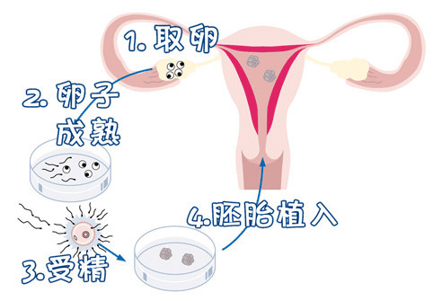 专家肖像